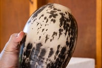 Image 3 of OBVARA [no. 4]