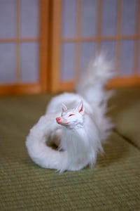 Image 1 of Albino Kudagitsune [in Stock]