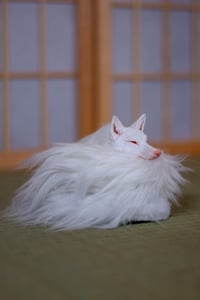 Image 4 of Albino Kudagitsune [in Stock]