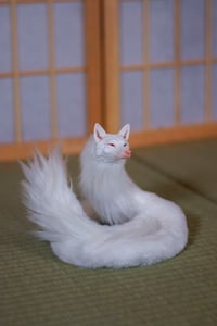 Image 5 of Albino Kudagitsune [in Stock]