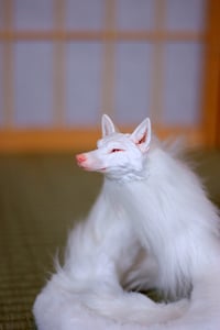 Image 6 of Albino Kudagitsune [in Stock]