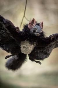 Image 18 of Nobusuma poseable art doll [PREORDER]