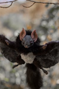 Image 13 of Nobusuma poseable art doll [PREORDER]