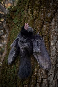 Image 4 of Nobusuma poseable art doll [PREORDER]