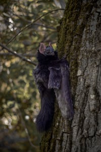 Image 5 of Nobusuma poseable art doll [PREORDER]