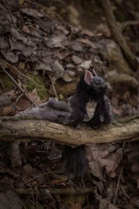 Image 11 of Nobusuma poseable art doll [PREORDER]