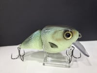 Image 2 of Poluxy Lures - Broadhead colorway #8