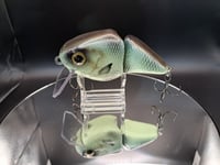 Image 4 of Poluxy Lures - Broadhead colorway #8