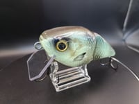 Image 6 of Poluxy Lures - Broadhead colorway #8