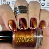 Image 3 of Starprise