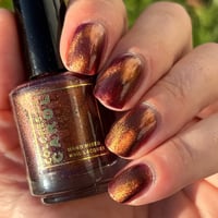 Image 9 of Starprise