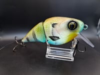 Image 6 of Paluxy Lures- Broadhead colorway #4