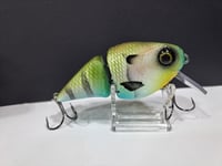 Image 2 of Paluxy Lures- Broadhead colorway #4
