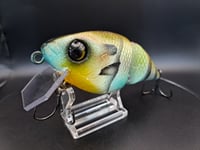 Image 7 of Paluxy Lures- Broadhead colorway #4