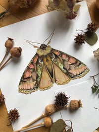 Image 3 of Moonlit moths (Bundle of 3)