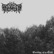 Image of Erstwhile – Steeling of a Soul 12" LP