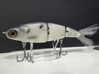 Image 1 of Paluxy Lures- Twerp colorway #9