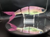 Image 2 of Paluxy Lures- Twerp colorway # 7