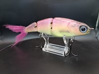 Image 6 of Paluxy Lures- Twerp colorway # 7