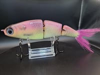 Image 7 of Paluxy Lures- Twerp colorway # 7