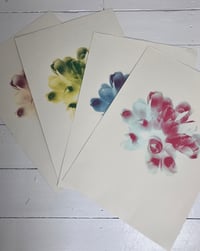 Image 1 of Flowers | varied edition