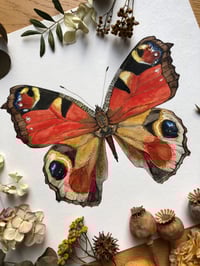 Image 4 of Garden Jewels (Bundle of 3)