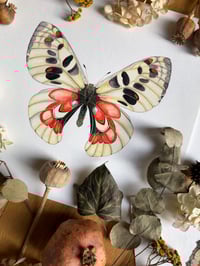 Image 2 of Garden Jewels (Bundle of 3)