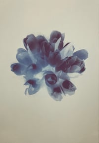 Image 4 of Flowers | varied edition
