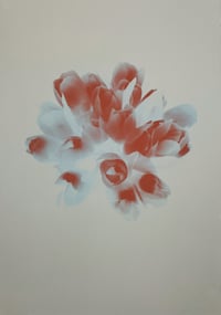 Image 2 of Flowers | varied edition