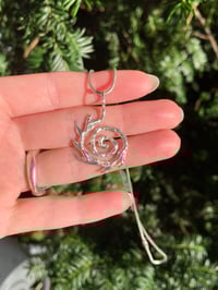 Image 2 of Nature Spiral 