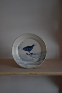 Image 1 of Moorhen Plate