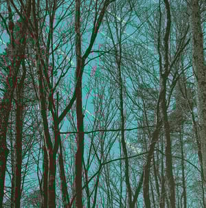 Image of Partially obstructed view of an unforeseen celestial event