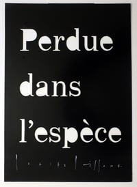 Image 1 of Matrice "Perdue dans l'espèce"