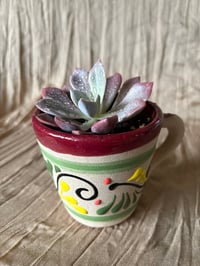 Image 3 of The Debbie Plant in Painted Terra Cotta Cup