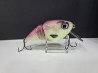 Image 1 of Paluxy Lures- Broadhead colorway # 1