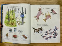 Image 3 of My Dirty Dumb Eyes by Lisa Hanawalt