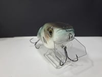 Image 6 of Paluxy Lures- Broadhead colorway #5