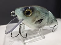 Image 7 of Paluxy Lures- Broadhead colorway #5