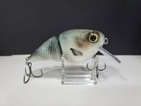 Image 2 of Paluxy Lures- Broadhead colorway #5