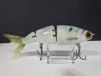 Image 1 of Paluxy Lures- Twerp colorway # 14