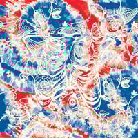 Master Grave Services "America After Acid" miniCDr (Abhorrent A.D.)