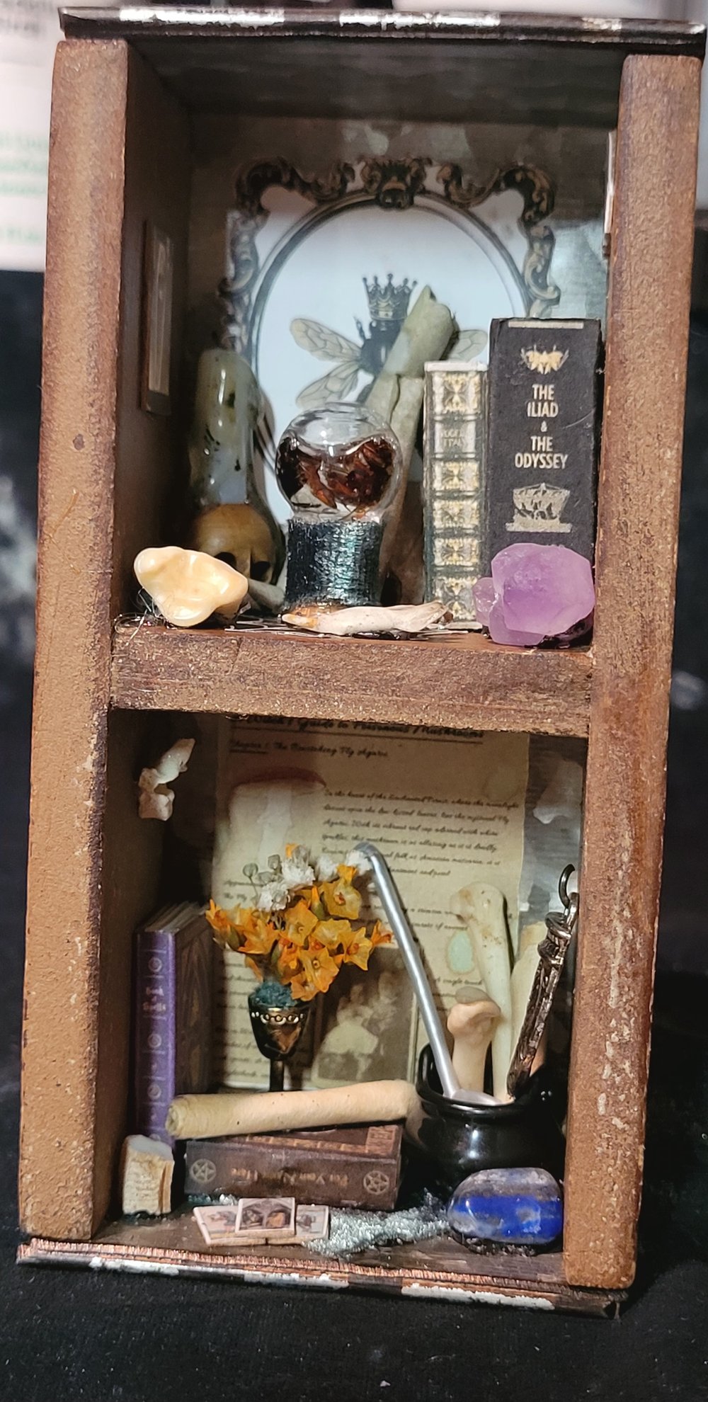 Image of Mini Oddities Shelf