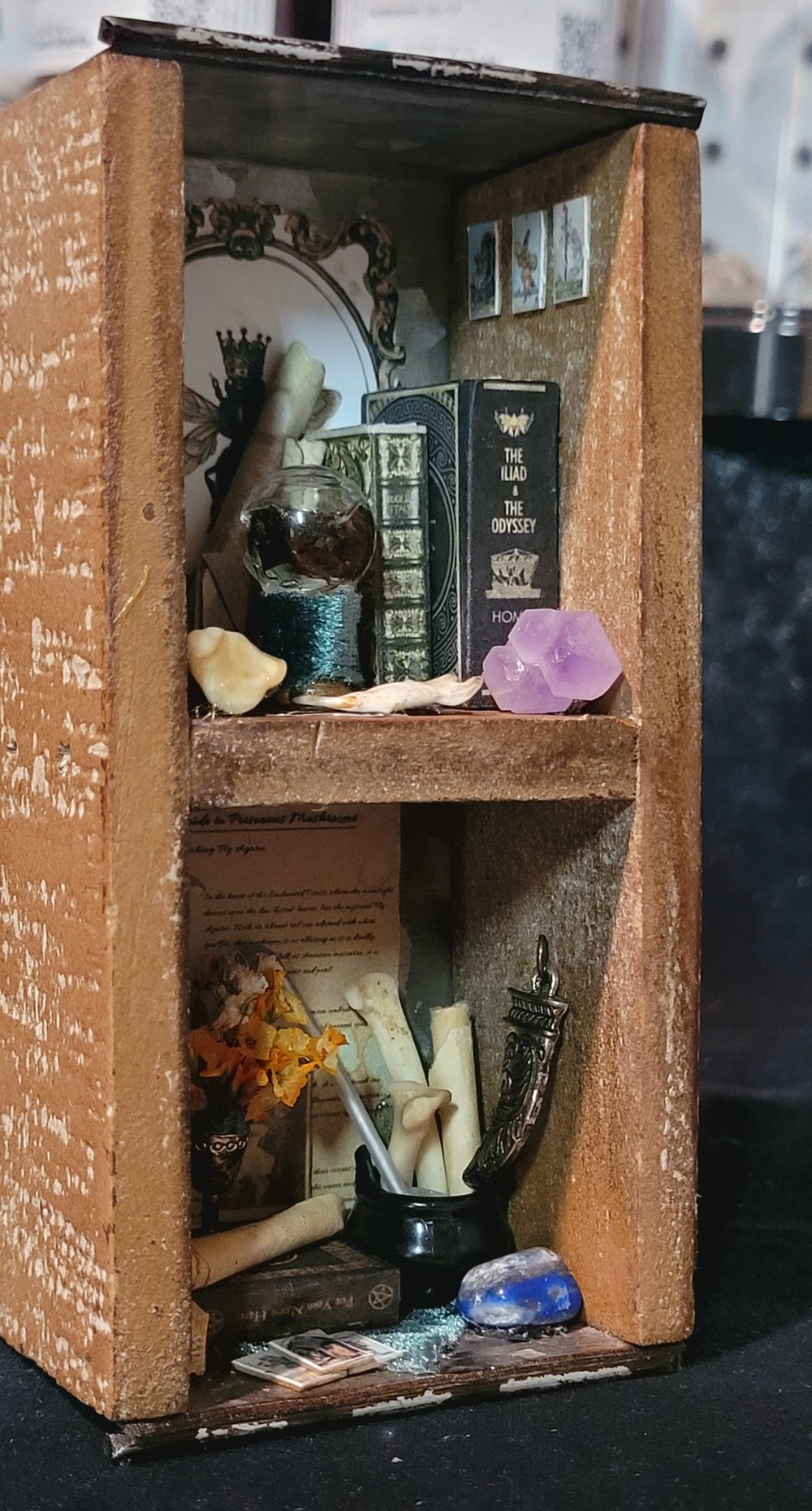 Image of Mini Oddities Shelf
