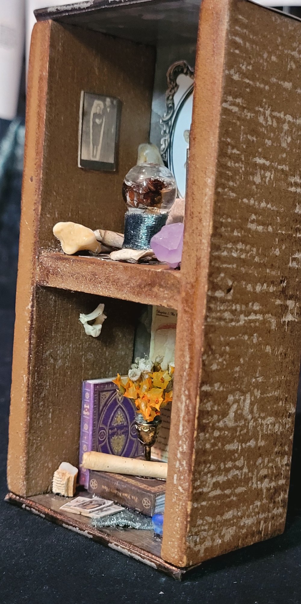 Image of Mini Oddities Shelf