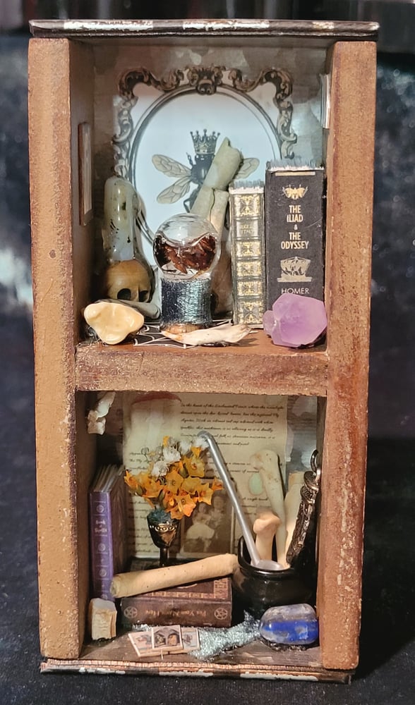 Image of Mini Oddities Shelf