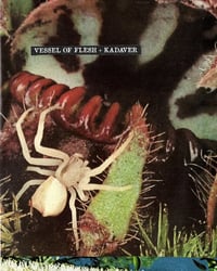 Vessel Of Flesh & Kadaver "Foxjaw" C30 Cassette (Detachment Programs)