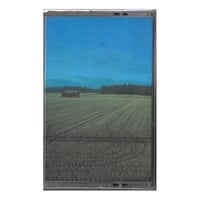 Amateur Surgeon "My Dead Fox" C40 Cassette (Self-Released)