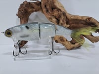 Image 1 of Paluxy Lures- Twerp colorway # 11