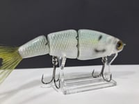 Image 3 of Paluxy Lures- Twerp colorway # 11