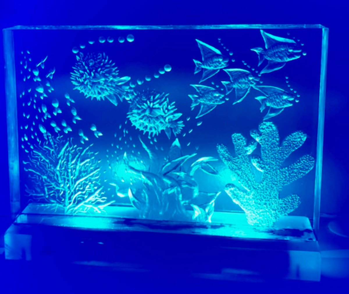 Image of Light Up Lucite Aquariums- custom order only